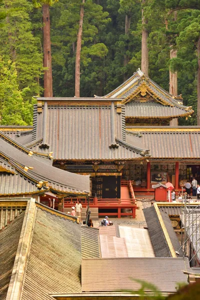 DSC_3886 (Large).JPG